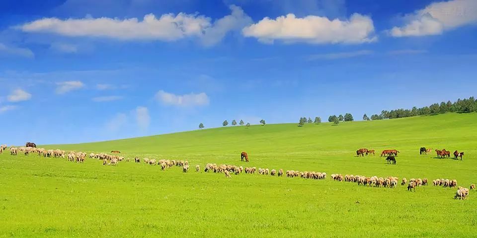 呼伦贝尔,草原生态与民族文化的和谐共生